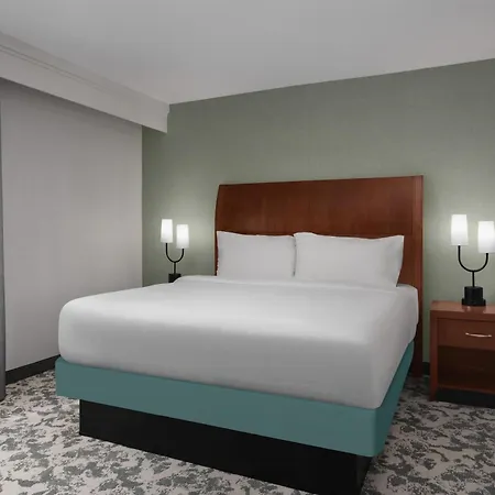Hilton Garden Inn Denver Downtown-3